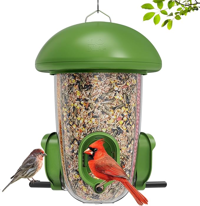 LONA Bird Feeders for Outdoors Hanging – 3 Separate Compartments, 3 Feeding Ports, Weatherproof Dome & 3 Ways to Hang, Large Capacity for Cardinals/Finches (Green，Plus