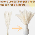 130 PCS Dried Pampas Grass Bouquet, Boho Table Decor, Bunny Tails Dried Flowers, Brown Pampas, Fluffy Pompas, White Pampas Grass for Weddings, Home Decor, Rustic Parties, and Baby Shower Decorations