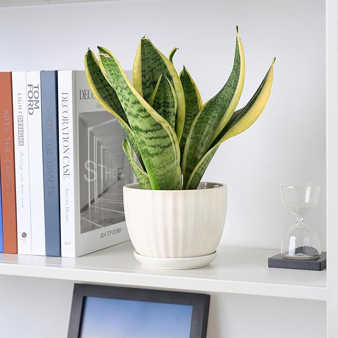 4/5/6 Inches Ceramic Plant Pots with Drainage Holes and Saucers, Round Flower Pots for Indoor Plant, Modern Flower Planters Set of 3 (White-Big Size)