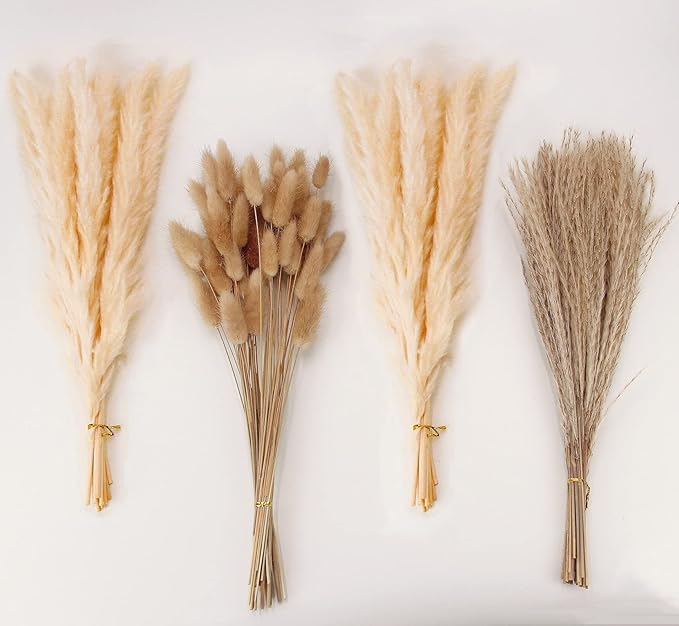 Natural Dried Pampas Grass Decor, Beige Pampas Grass, Bunny Tails Dried Flowers, Reed Grass Bouquet for Wedding Boho Flowers Home Table Decor, Rustic Farmhouse Party (100 in Total )