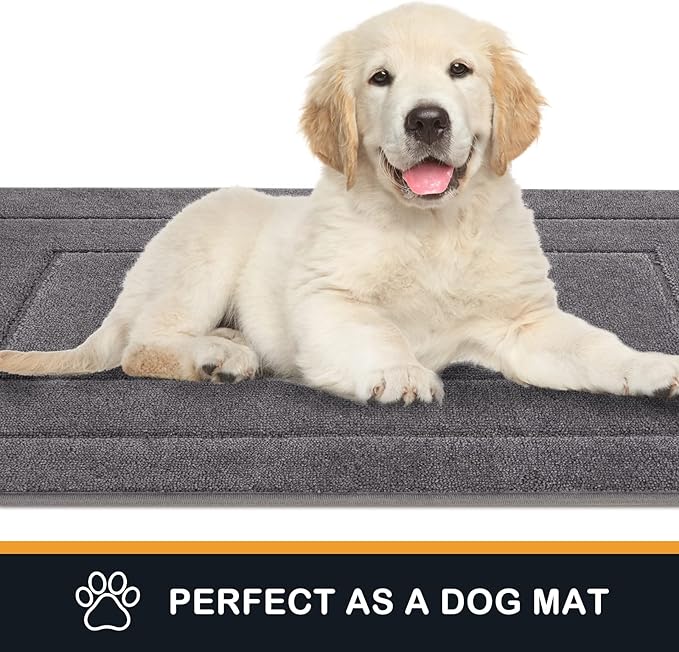 PURRUGS Dirt Trapping Door Mat 32" x 47", Non-Slip/Skid Machine Washable Entryway Rug, Dog Doormat, Super Absorbent Welcome Mat for Muddy Wet Shoes and Paws, Grey