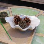 Large EarthTan-White Sea Shells Decorative Bowl Resin Clam Shell Bowl Beach Decorations for Home Coastal Beach Decor Decoration Storage Bowls & Home Office Nautical Themed Party Decor -10.2"-1PC