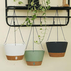 ZMTECH 8 Inch Hanging Planters for Indoor Plants, Hanging Baskets for Plants Outdoor with Visible Water Level, Hanging Flower Pots with Drainage Holes & Removable Tray(2 Pack, Green)