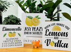Summer Lemons Decor for Home Farmhouse Lemon Themed Tiered Tray Decor 3 Pcs Lemon Decorative Wood Box Signs Table Desk Shelf Kitchen Decoration