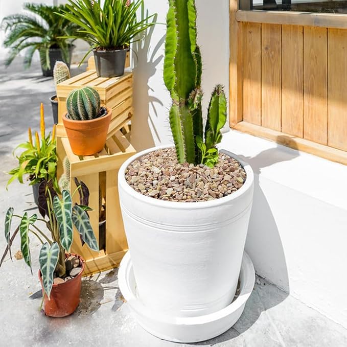 10LB Succulent and Cactus Gravel Pebbles, 1/5 Inch Natural Decorative Polished Stones, River Rocks for Plants, Vases, Aquariums, Terrarium and Outdoor Gardening,Peach