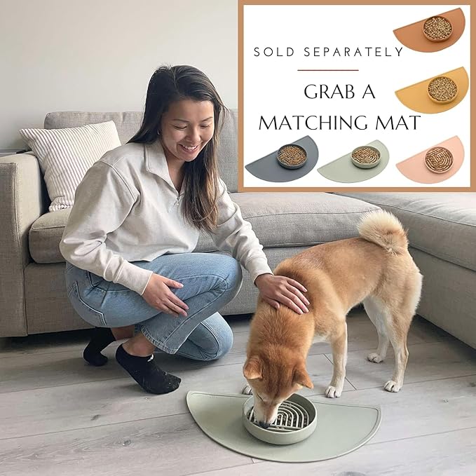 The Slowdown Bowl Silicone Slow Feeder for Dogs & Puppies, Slow Eating, Modern Lick Mat Design, Reduces Gulping, Fits 2.5 Cups 9.5” Across x 1.5” Tall, Mealtime Challenge, Large-Blush