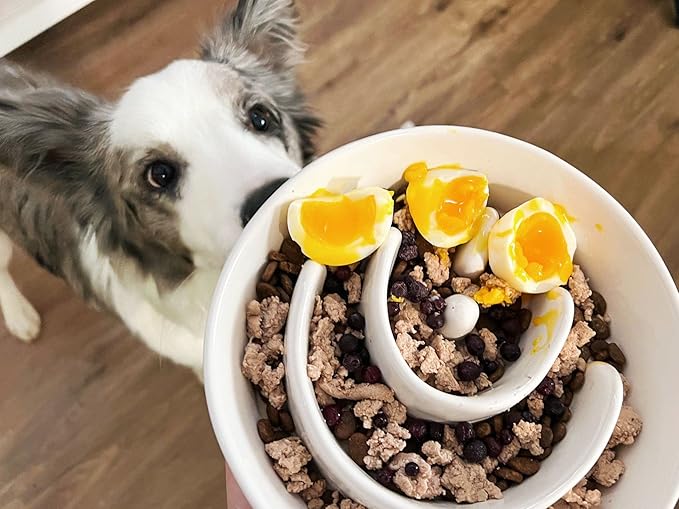 Slow Feeder Dog Bowl, 3 Cups Ceramic Maze Dog Food Bowl for Medium/Large Dogs – Non-Slip White Pet Dish, Cute Puzzle Design to Slow Fast Eaters