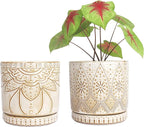 6 Inch Indoor Plant Pots with Drainage Holes and Saucers, Ceramic Planter for Plants, Flower Pot - Set of 2
