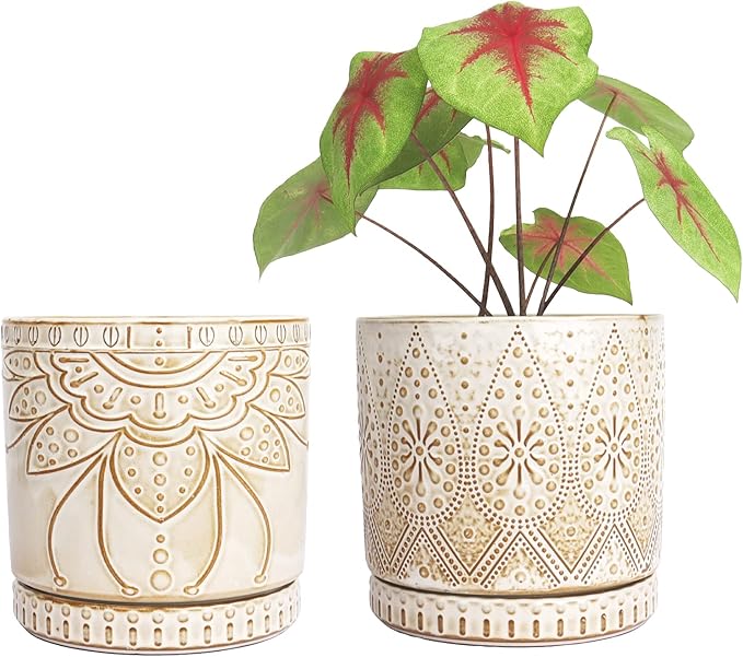 6 Inch Indoor Plant Pots with Drainage Holes and Saucers, Ceramic Planter for Plants, Flower Pot - Set of 2