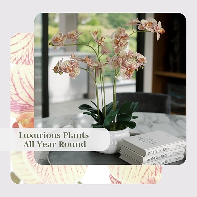 Faux Orange Orchid Plant, Premium Artificial Indoor Flower Display Stands 23”, Beautiful Sculptural Blooms That Lasts Forever, White Planter Pot Included