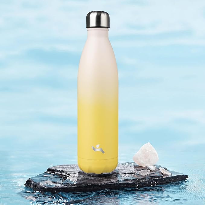 Insulated Water Bottles,25 oz Double Wall Stainless Steel Vacumm Metal Flask for Sports Travel,Lemon