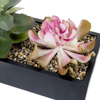 MyGift Artificial Assorted Succulent Arrangement in Rectangular Black Wood Planter Box, Fake Plant Decor