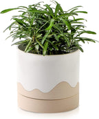 Nihow Ceramic Plant Pot: 6 Inch Planter with Drainage Hole & Saucer for Indoor & Outdoor Plants - Cylinder Round Flower Pot for Succulent/Herbs/Violets - White & Nature