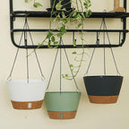 ZMTECH 10 Inch Hanging Planters for Outdoor Plants, Hanging Pots for Plants Indoor with Visible Water Level, Hanging Flower Basket with Drainage Holes & Removable Tray(2 Pack, Gray)