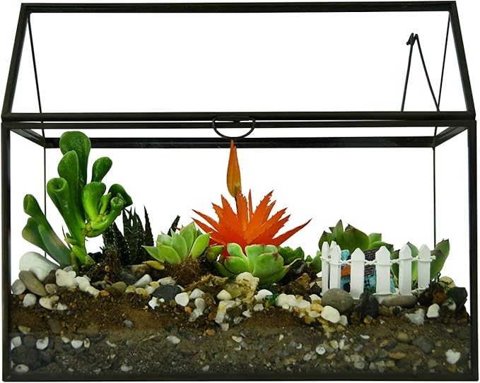 Black 1 Large Glass Plant Terrarium Kit with Lip Greenhouse for Succulents