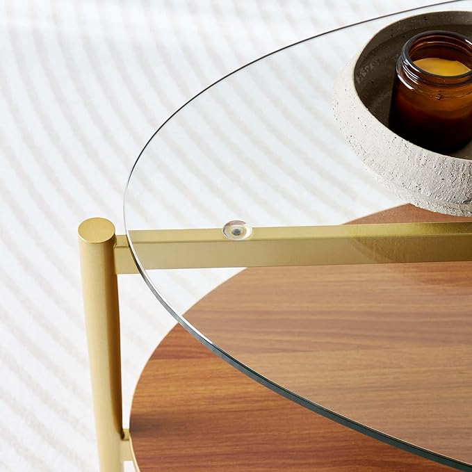 Oval Glass Coffee Table, Mid-Century Modern Design, L43 x W22 x H17 inch, 2-Tier Structure, Olive Shaped Clear Glass Top and Walnut Finish Wood Shelf, Tapered Legs with Gold Finish Frame