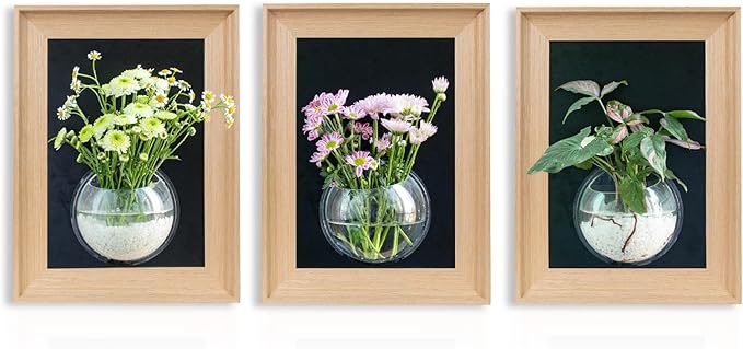 Natural Wooden Frame Wall Hanging Planter for Hydroponic Plants, 12'' x16''inch Wall Vase with Round Acrylic Propagation Station，Bathroom, Office, or Living Room Décor, Set of 3
