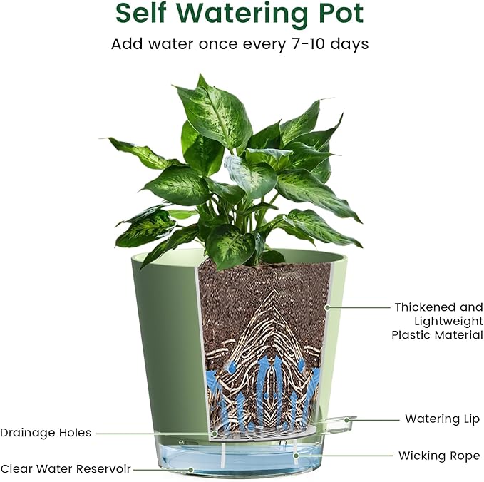 6 inch Self Watering Pots for Indoor Outdoor Plants, 3 Pack Flower Plant Pots with Drainage Holes and Clear Reservoirs, Visible Water Level, Plastic Planters with Wicking Rope, Green