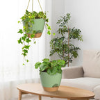 ZMTECH 10 Inch Hanging Planters for Indoor Outdoor Plants, 2 Pack Self Watering Hanging Plant Pots with Drainage Holes and Removable Saucer, Plastic Flower Hanging Pots with Watering Lip (Green)