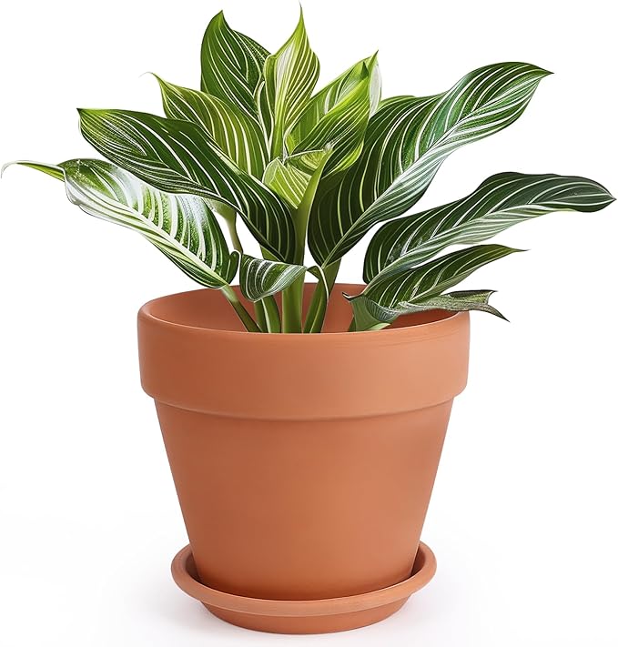 INGOFIN Terracotta Pot with Saucer - 10 Inch Ceramic Clay Pot for Plants with Drainage Hole, Large Terra Cotta Flower Planter with Tray for Indoor Outdoor Plants