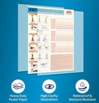 Whole Body Vibration Plate Exercise Poster Set - 6 Workout Guides & 2 Customizable 30-Day Plans for Home & Gym Use