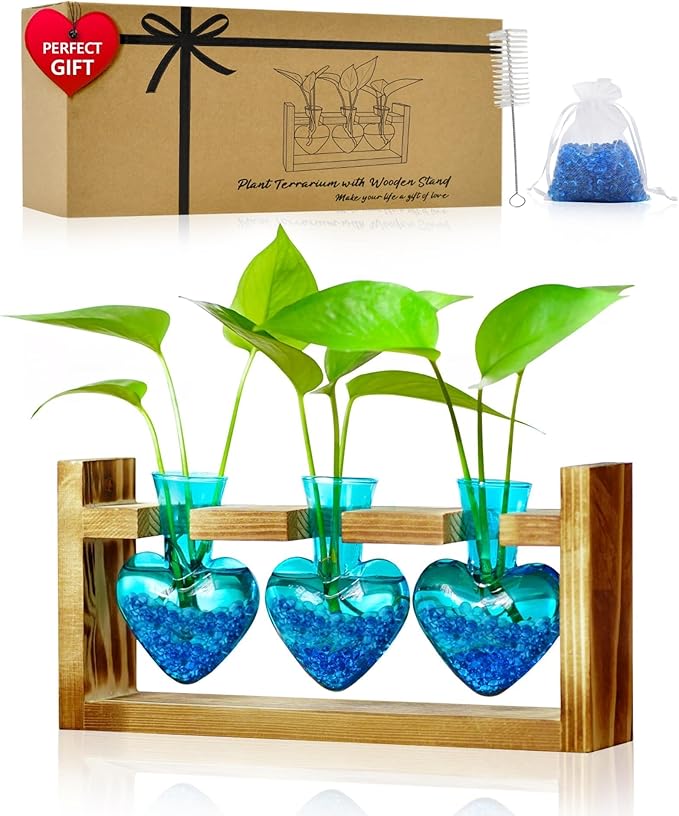 Nacome Plant Terrarium for Office Decor: Birthday Gifts for Plant Lovers Women Mom Wife - Wooden Stand Tabletop Planter 3 Bulb Glass Vase Heart Shaped for Hydroponics Indoor Home