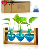 Nacome Plant Terrarium for Office Decor: Birthday Gifts for Plant Lovers Women Mom Wife - Wooden Stand Tabletop Planter 3 Bulb Glass Vase Heart Shaped for Hydroponics Indoor Home