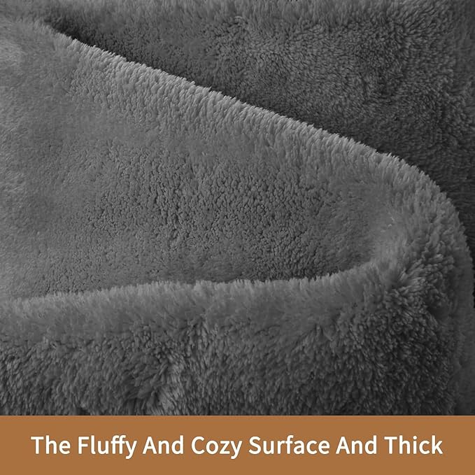 Sour Lemon 10x14 Area Rugs for Living Room, Soft Large Area Rug Fluffy Rugs for Bedroom，Machine Washable Area Rug Non Slip Carpet Rug for Living Room Playroom Kids Room Home Decor