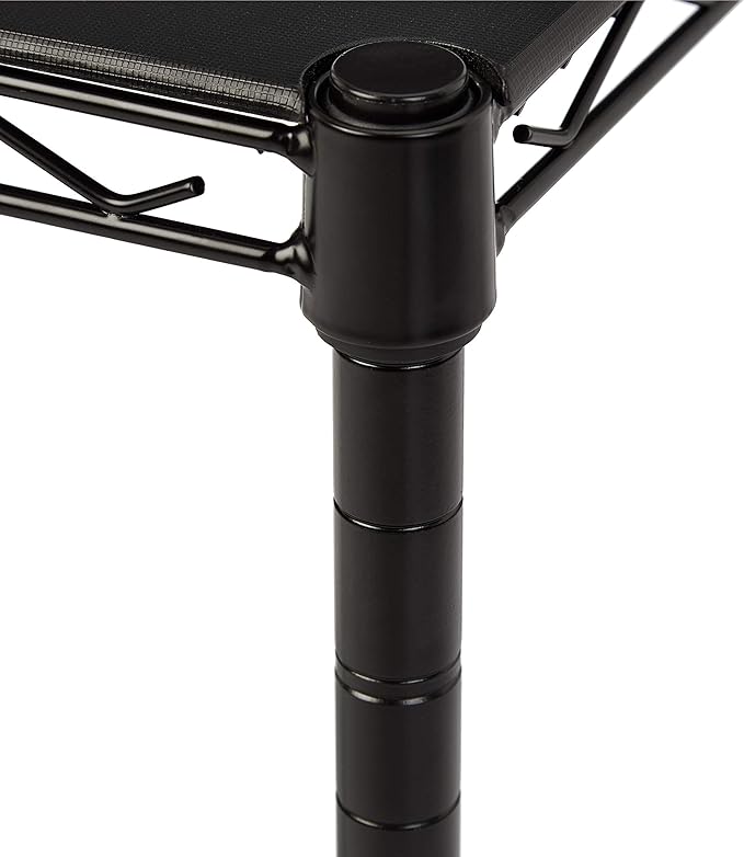 Amazon Basics 2-Shelf Stackable Storage, 13.3" D x 23.2" W x 22.2" H, Black