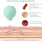 Meifuly Facial Cupping Set, 4 PCS Silicone Vacuum Suction Face Massage Cups, Skin Tightening Kit for Eyes, Face and Body (Green)