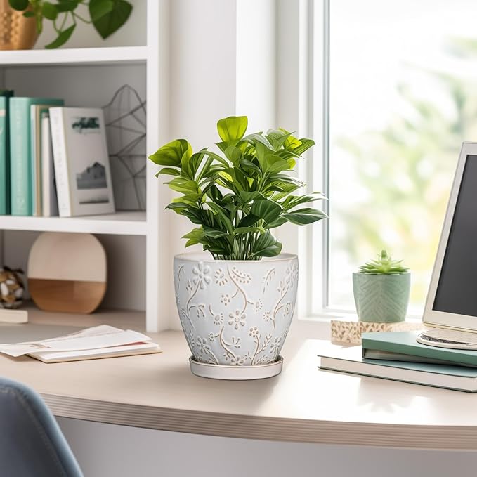 6 Inch Ceramic Plant Pot for Indoor Plants Outdoor Round Planter Flower Pot with Drainage Hole and Saucer for Home Garden Office Decor White