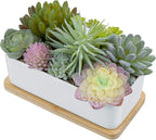 MyGift Assorted Artificial Succulent Plant Arrangement Potted in White Ceramic Planter Pot with Removable Bamboo Tray