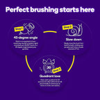 Burst Original Sonic Electric Toothbrush for Adults (Black) | Soft Bristle Deep Clean Stain & Plaque Removal | 3 Modes: Teeth Whitening, Sensitive & Massage