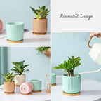 TAMAYKIM 4 Inch Cylinder Ceramic Boho Plant Pots with Drainage Hole and Saucer, Glazed Multicolor Flower Pots for Succulent, Snake Plant, Cactus and Herbs, Set of 4 (Plant Not Included)