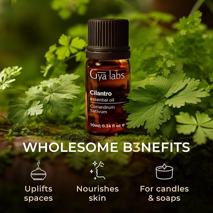 Gya Labs Cilantro Essential Oil for Diffusers - 0.34 Fl Oz - 100% Natural Cilantro Oil for for Skin, Massage, Aromatherapy & Candle Making Scent