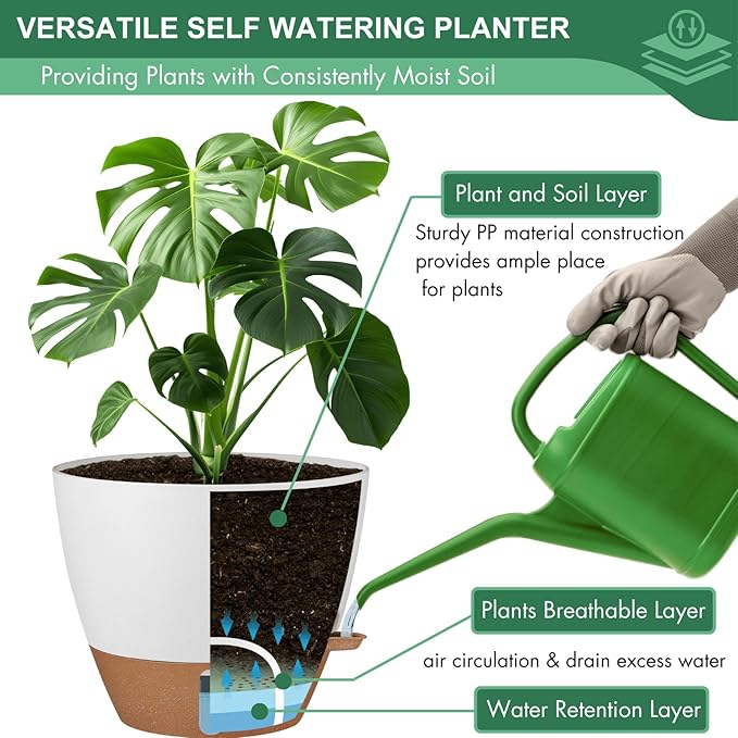 montresor 2 Pack 8 inch Plant Pots, PP Plastic Self Watering Plant Pot with Drainage and Tray for Indoor Outdoor Plants, Water Level Window & Reservoir Flower Pots Decorative Planter(White)