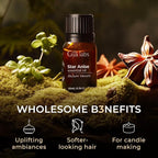 Gya Labs Star Anise Essential Oil for Skin - 0.34 Fl Oz - 100% Pure Natural Star Anise Oil for Diffuser, Hair, DIY & Aromatherapy & Candle Making Scent