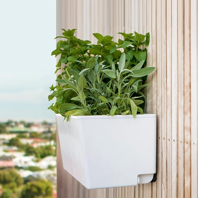 Glowpear Self Watering Planter Box - 23.6", White - UV Stable, Scalable Wall Mounts Plant Pot with Water Gauge, Indoor Outdoor for Vegetables, Flowers, Herbs, and Succulents, Gardening