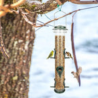 MIXXIDEA 2PK Metal Wild Bird Feeder Bird Feeders for Outdoors Hanging 6 Port Tube Bird Feeder Transparent Finch Feeder with Steel Hanger Green