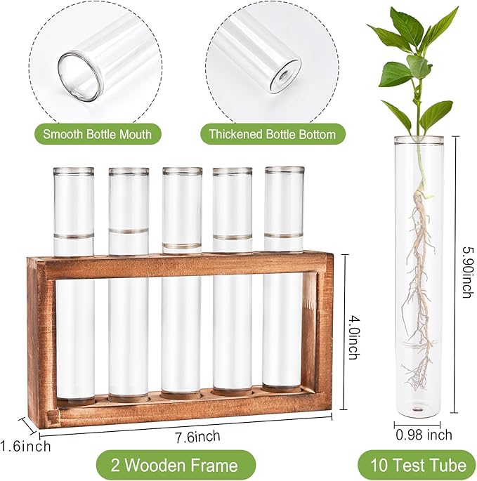2pcs Desktop Glass Plant Propagation Station with 10 Test Tubes in Wooden Stand - Hydroponic Plants Cutting Office Home Decoration and Garden Decor Terrarium (10 Tubes)
