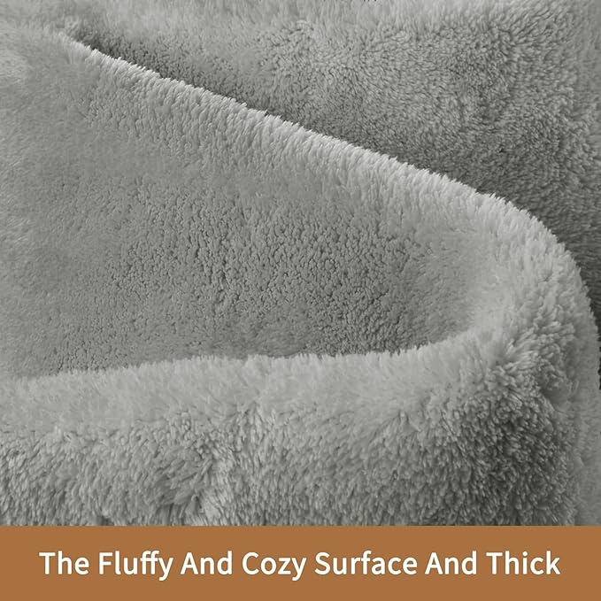 Sour Lemon 5x7 Area Rugs for Living Room, Soft Large Area Rug Fluffy Rugs for Bedroom，Machine Washable Area Rug Non Slip Carpet Rug for Living Room Playroom Kids Room Home Decor