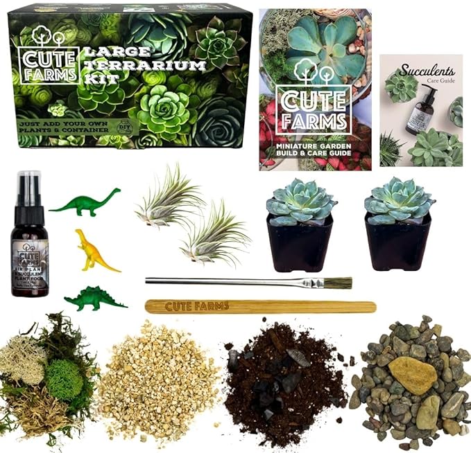 Cute Farms Terrarium Starter Kit | Moss, Vermiculite, Soil, Pebbles, Plant Food, Finishing Tools, Build and Care Guide | DIY Succulent Terrarium for Adults and Kids (Large + Live Plants)