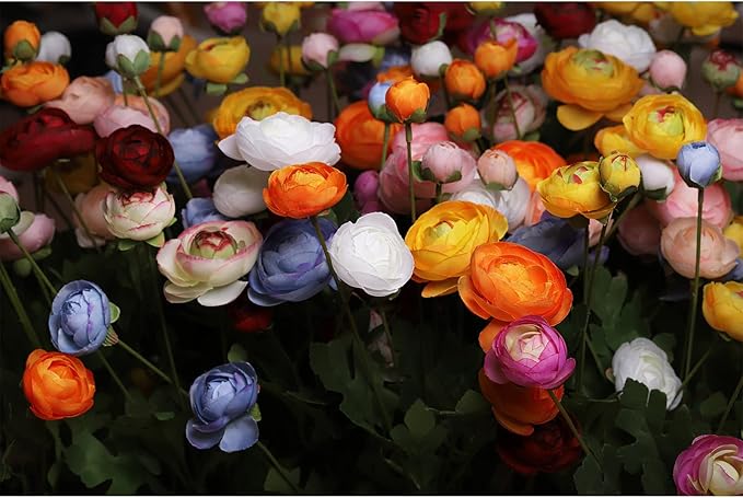 Artificial Silk Flowers Persian Buttercup Heavy Color Ranunculus Flower 5 Pcs,Suitable for core Decoration,Wedding Floral Creation,Flower Arrangement DIY Project,Interior Decor（Yellow）