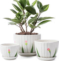 Ceramic Plant Pots with Drainage Holes and Saucers, Round White Flower Pots for Indoor Plant, Diameter 3.3/4.3/5.5 Inches Small Flower Planters Set of 3