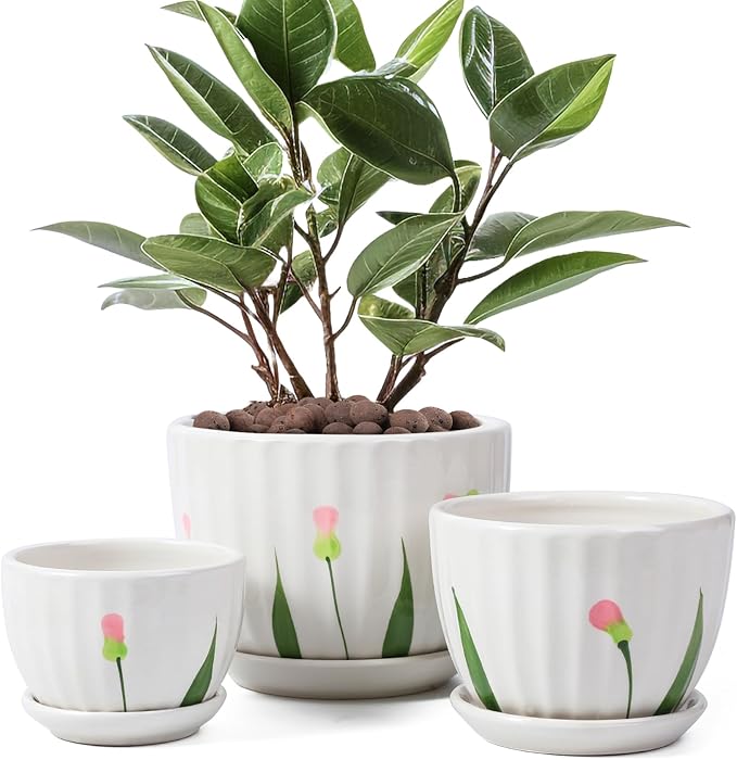 Ceramic Plant Pots with Drainage Holes and Saucers, Round White Flower Pots for Indoor Plant, Diameter 3.3/4.3/5.5 Inches Small Flower Planters Set of 3