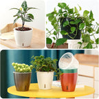 Self Watering Pots for Indoor Plants, 12-Pack 5'' Self Watering Planter with Drainage Holes, Small African Violet Pots with Water Level Indicator, Clear Wick Pot, Black