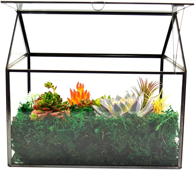 Black 1 Large Glass Plant Terrarium Kit with Lip Greenhouse for Succulents