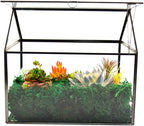 Black 1 Large Glass Plant Terrarium Kit with Lip Greenhouse for Succulents