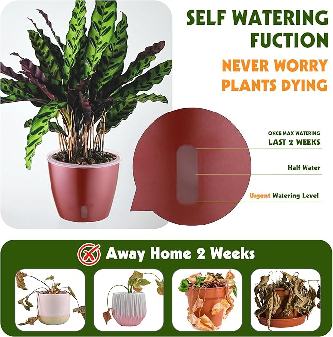 Self Watering Pots for Indoor Plants, 4-Pack 6.7'' Self Watering Planter with Drainage Holes, Small African Violet Pots with Water Indicator, Clear Wick Orchid Pot, Rose Gold