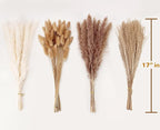 Dried Pampas Grass Decor, 100 Stems Pampas Grass Contains Bunny Tails Dried Flowers, Reed Grass Bouquet for Wedding Boho Flowers Home Table Decor, Rustic Farmhouse Party (17", White and Brown)